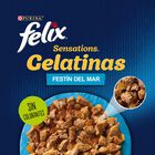 Felix Sensations Seleção de Peixes saquetas em galeia – Pack 4, , large image number null